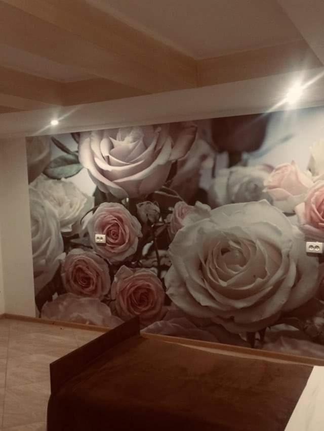 Guesthouse Raisa クヴァレリ エクステリア 写真